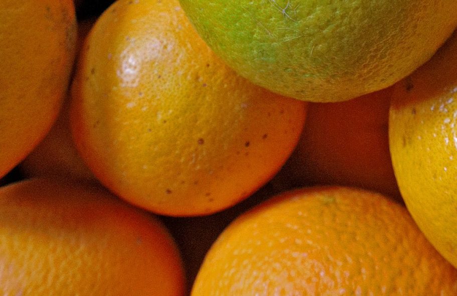 Echte Orangen, Detailaufnahme.